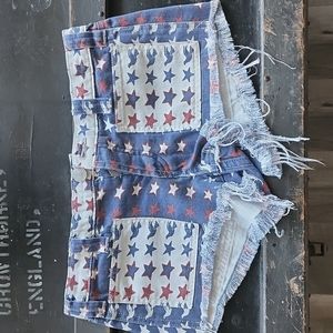 Size 24 - We The Free Short Shorts